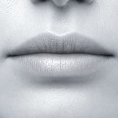 Lip Seal