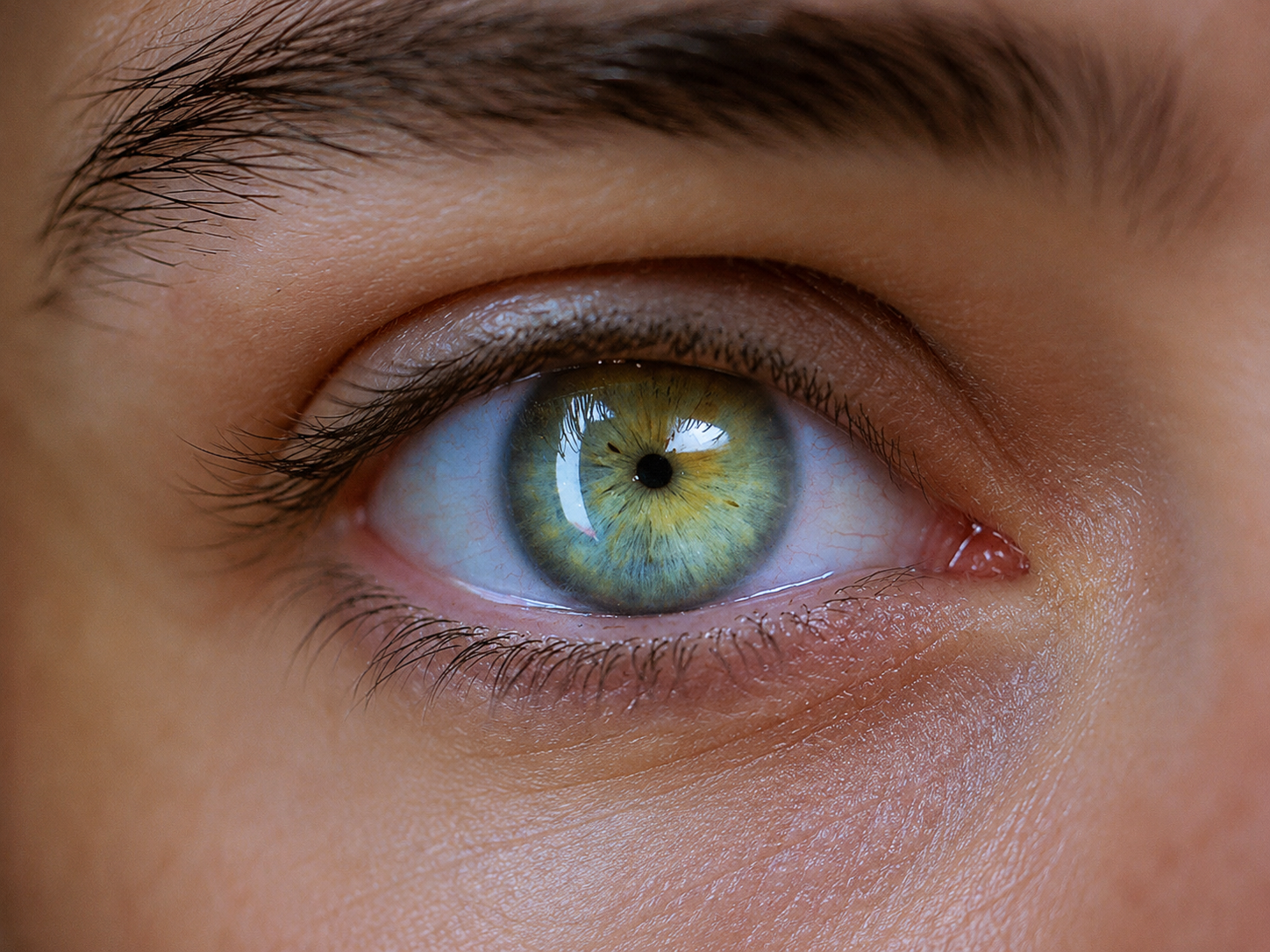 Macro close-up of a green-hazel iris with a visible limbal ring and a dense brow above