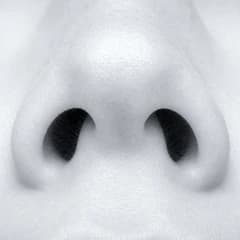 Nasal breathing research cover