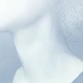 Neck