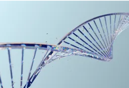 Genetic factors